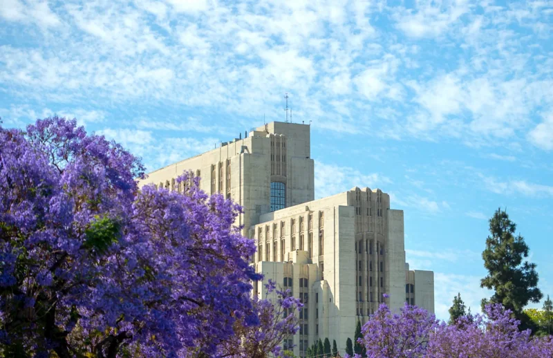 East Los Angeles County Medical Center